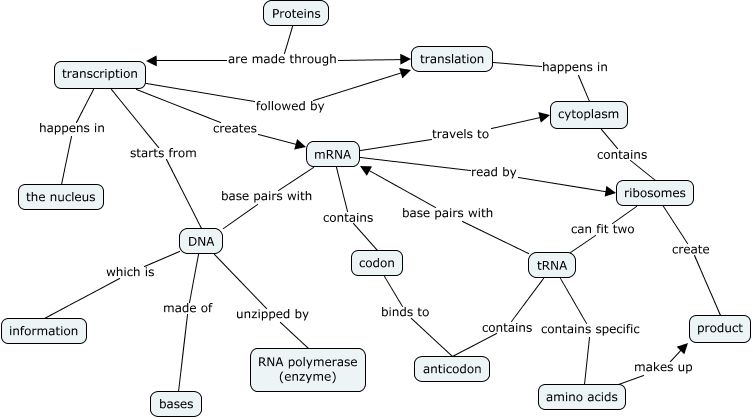 Protein Synthesis Concept Map